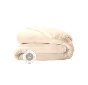 PERCALE COQUILLE