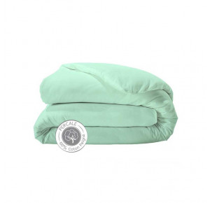 PERCALE CELADON