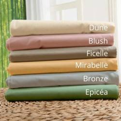 Tradilinge Housse de couette 100% COTON UNI BIOLOGIQUE BRONZE
