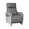 1001lits Fauteuil de relaxation ALTIS Fauteuil Électrique