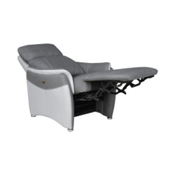 1001lits Fauteuil de relaxation ALTIS Fauteuil Électrique
