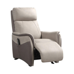 1001lits Fauteuil de relaxation releveur ALTIS Fauteuil Releveur