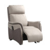 1001lits Fauteuil de relaxation releveur ALTIS Fauteuil Releveur