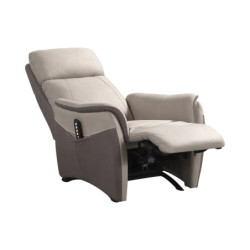 1001lits Fauteuil de relaxation releveur ALTIS Fauteuil Releveur