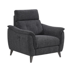1001lits Fauteuil de relaxation CELESTIA Fauteuil Électrique