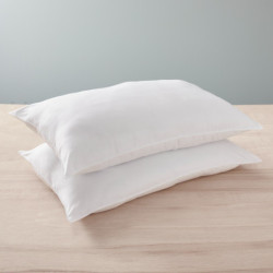 Coton Pur Lot de 2 oreillers Douceur microfibre anti-acariens