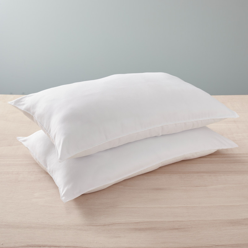 Coton Pur Lot de 2 oreillers Douceur microfibre anti-acariens