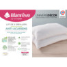 Coton Pur Lot de 2 oreillers Douceur microfibre anti-acariens