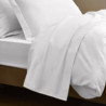 Coton Pur Drap plat satin de coton 120 fils Prestige